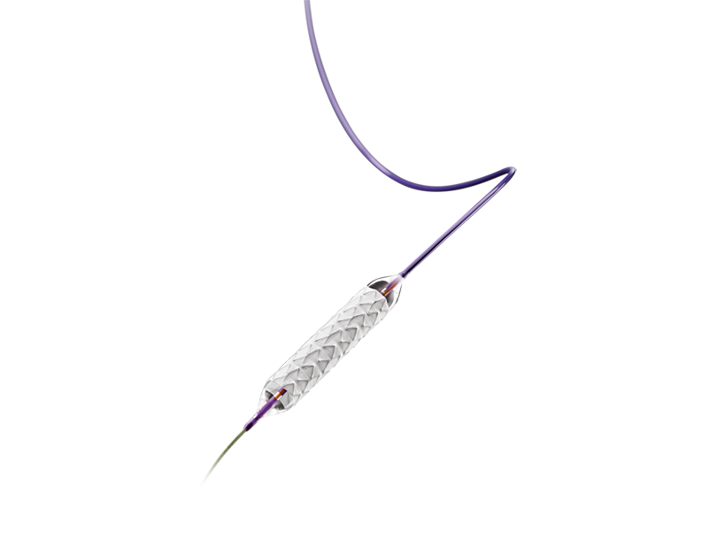 LifeStream Balloon Expandable Vascular Covered Stent